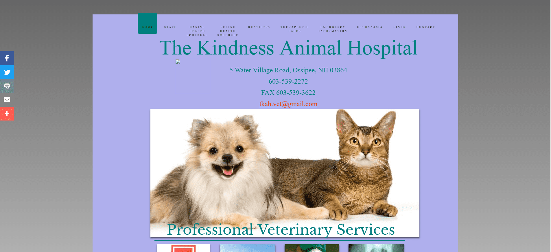 Home The Kindness Animal Hospital Ossipee NH